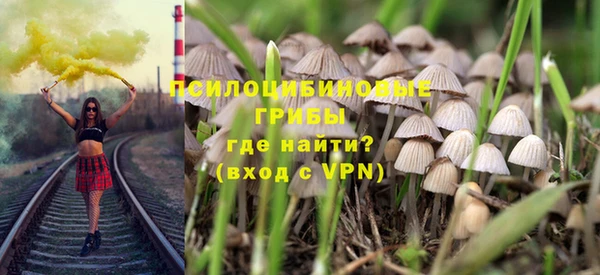 круглые Алзамай