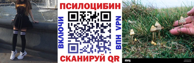 Галлюциногенные грибы GOLDEN TEACHER  Дзержинск 